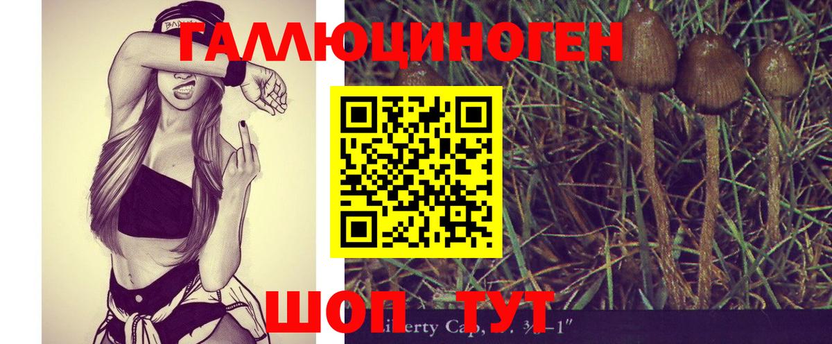 Галлюциногенные грибы Psilocybe Кандалакша