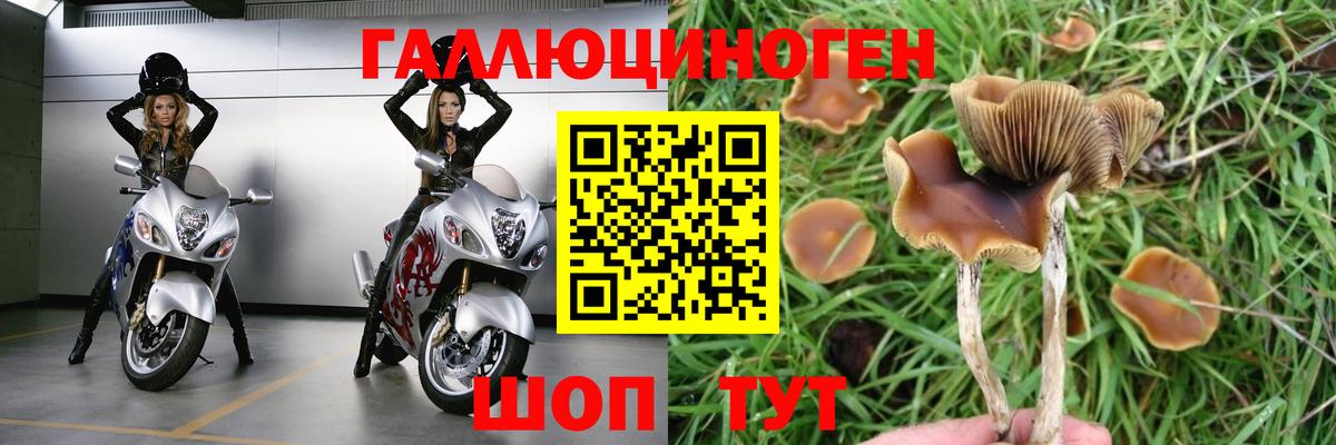Псилоцибиновые грибы прущие грибы  где купить   Кандалакша  Псилоцибиновые грибы ЛСД  Вход с VPN 